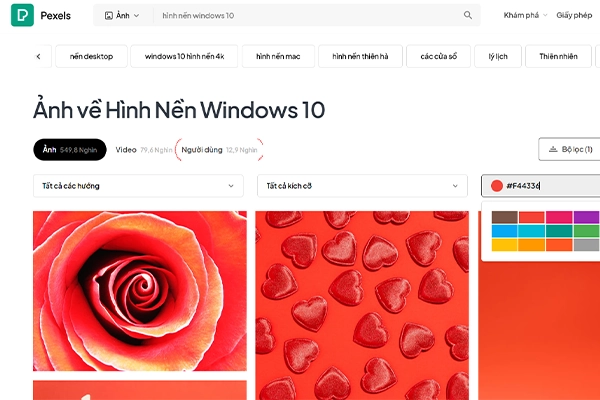 Trang web Pexel có theme win 10 đẹp Trang web Pexel có theme win 10 đẹp